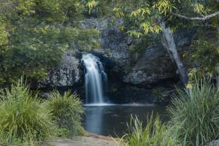 Forest Haven 2 BR Styled Modern Sanctuary at Maleny - Maleny - 5