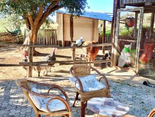 Farmhouse with swimming pool in Capo Vaticano - 2