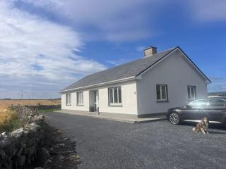 Harbour Hill Cottage - 1