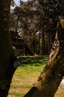 Bodhine Börkerheide - 5