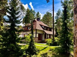 KRALJEVI KONACI - Vila Zelena Dolina - Zlatibor - 0