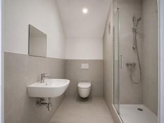 Large apartment with 5 bedrooms near Munich - 3