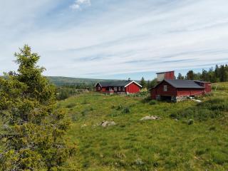 Secluded and peaceful Cabin in Hemsedal with Sauna - 0