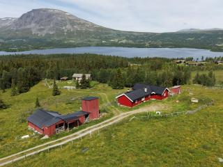 Secluded and peaceful Cabin in Hemsedal with Sauna - 9