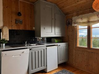 Secluded and peaceful Cabin in Hemsedal with Sauna - 4