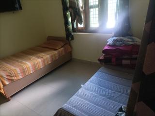 Blue Sparrow Homestay - 7