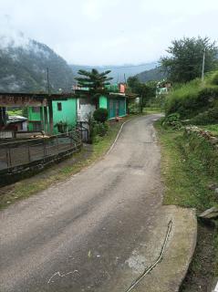 Blue Sparrow Homestay - 4