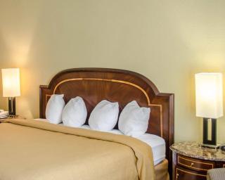 Quality Inn & Suites Pensacola Bayview - 4