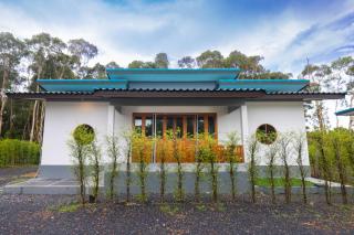 Woodland Hide Away - 3