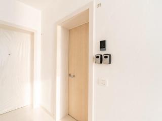 The Essential Suite V - 7