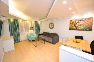 Twin I - One Bedroom - 4 guests - Cismigiu Gardens - 9