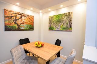 Twin I - One Bedroom - 4 guests - Cismigiu Gardens - 8