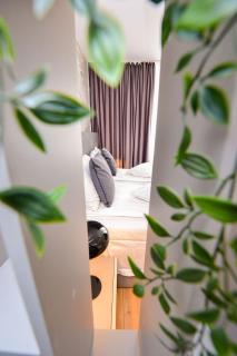 Park Studio Cismigiu Gardens - Quiet Room - Smart Tv - 6