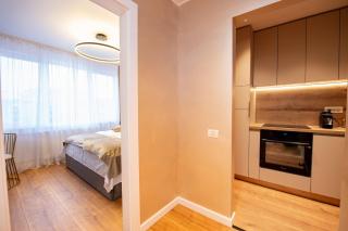 Sakura - One Bedroom Apartment - next to Victoria Avenue and Cismigiu Park - 1