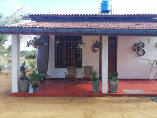 Serene Stay, Arugambay - 8