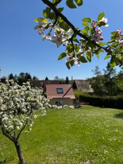 Appartmenthaus - 1