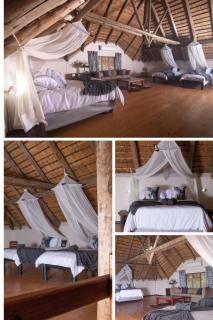 Lulu Safaris on Kruger - 6