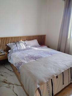 Nicoleta's House - 1