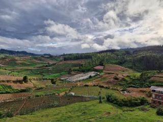 Ivy stay ooty - 5