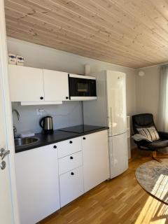 Aurora Camp Kiruna - 4