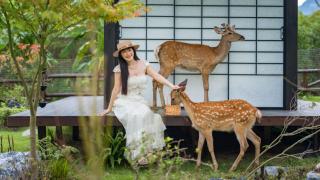 The Deer Glade Hotel Yangshuo-Riverside Karst Retreat on Yulong River - 1