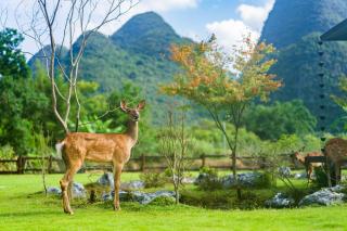 The Deer Glade Hotel Yangshuo-Riverside Karst Retreat on Yulong River - 2