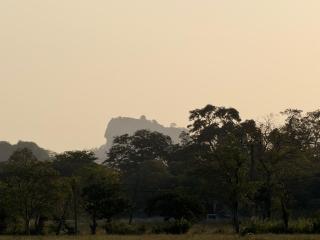 The Emerald Fields Sigiriya - 0