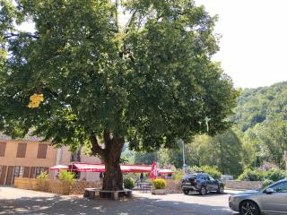 Pyrenean Pursuits - 2
