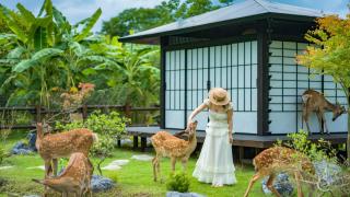 The Deer Glade Hotel Yangshuo-Riverside Karst Retreat on Yulong River - 3