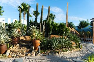 Hoàng Long Tropical - Farmstay -  - 9