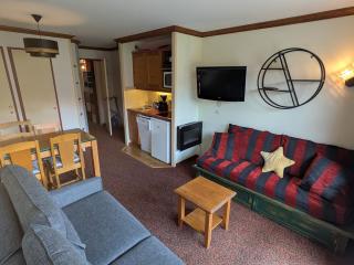 Appartement cosy, 4-5 pers, balcon sud, pistes et commerces à proximité - FR-1-181-2704 - 2