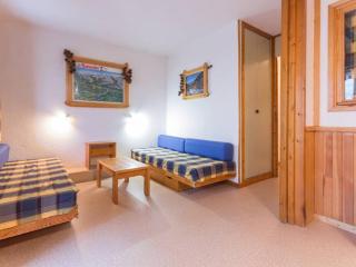 Studio cabine spacieux, proche pistes et centre, animaux admis - FR-1-181-2775 - La Plagne Tarentaise - 1