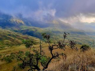 iKhayalamafu Mountain Reserve - 5