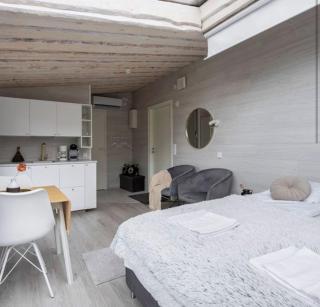Exclusive panoramic suite at Himos - 1