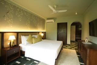YAAN Udaipur - 8