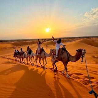 Merzouga please Luxury camp - 4
