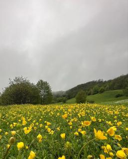 Karaberd Glamping - 3
