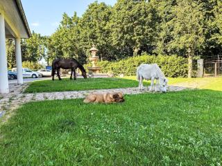Holiday Home 30 km vor Berlin bis 6 Personen Bungalow by Interhome - 6