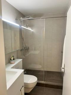 Green Basel Home - 5 beds free parking - 7