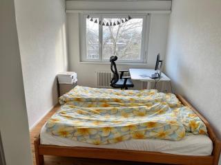 Green Basel Home - 5 beds free parking - 5