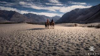 Zostel Nubra - 5