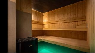 INCOGNITO Basen & SPA widok na góry - 4