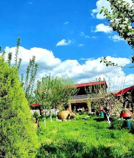 Vibe Hotel Vanadzor - 9