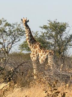 Yaguma Lodge and Farm - 9