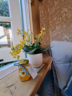 'Winton' cottage - 5
