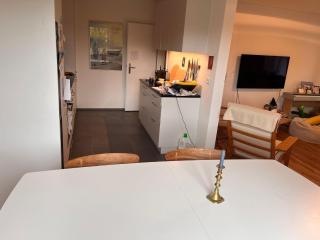 Private Basel Room near forest free parking - 7