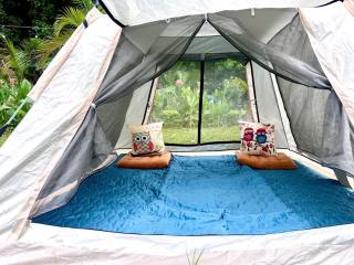 Hen Camping- Coffee --------- Free if you have tent - 6