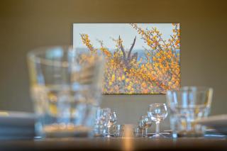 Le Noir Flohay 30 pers - Malmedy, vue, wellness - 3