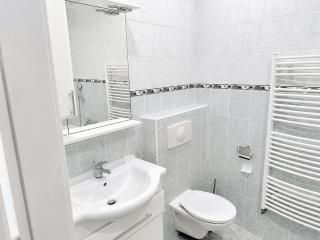 Quiet apartment near Wenceslas Square with AC - 1