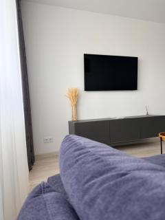 Apartamentul Castanilor - 7